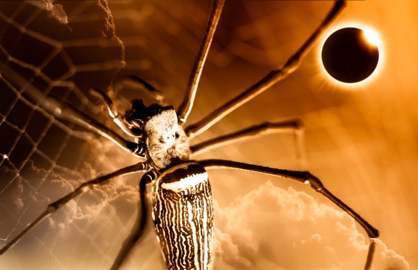 A close up of spider on web. In the distance is a darkened moon with a ring of light around it.  