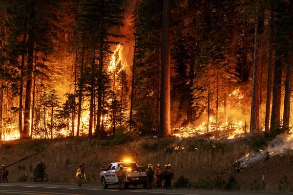 What higher ed can do about climate change What higher ed can do about climate change