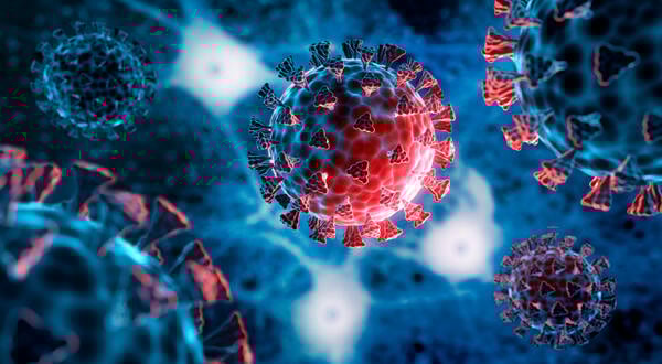 A blue and red illustration of the virus that causes COVID-19.