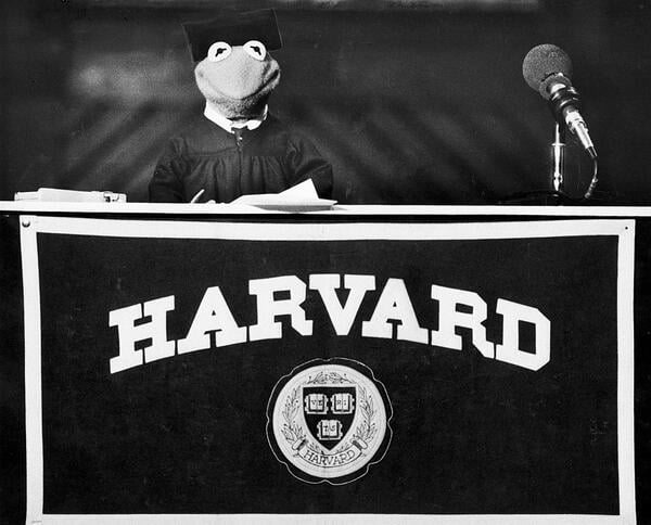 A black-and-white photo of Kermit sits behind a desk with Harvard's sitting and a microphone, wearing graduation regalia