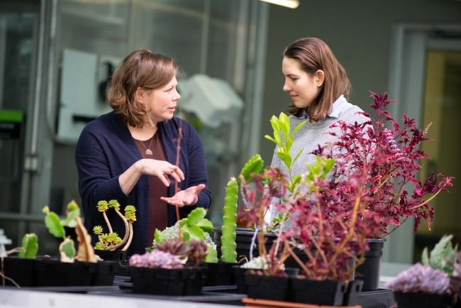 Two women talk over plants