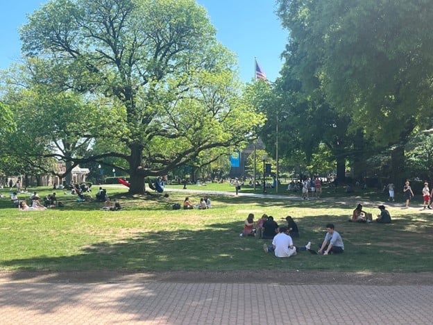 Students sitting outside on the grass at a university