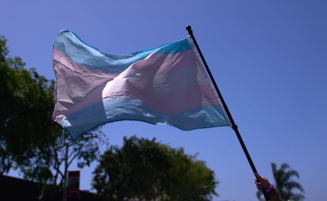 A blue and pink flag transgender pride flies in the wind.