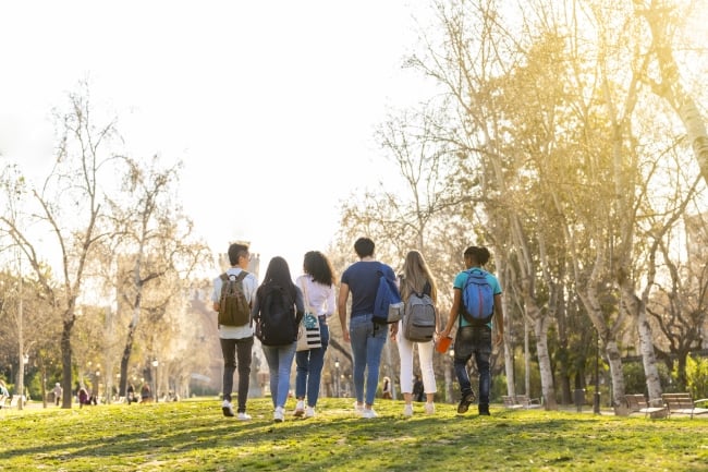 Back view of a row of young multi-ethnic students walking together in the park