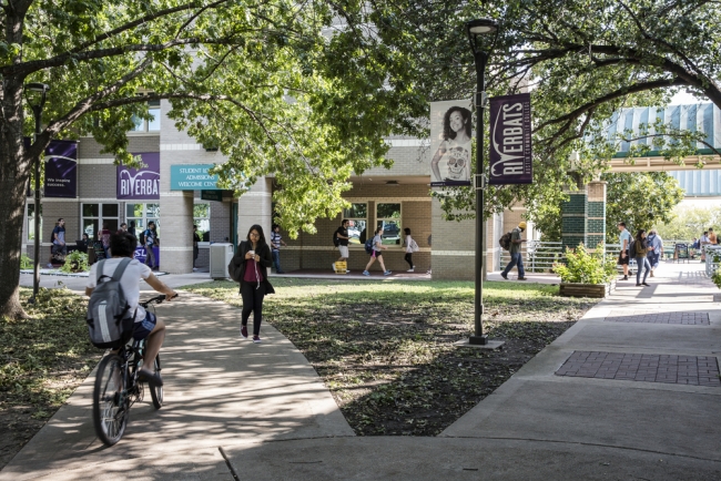 Students walk on a tree-lined Northridge campus in the Austin Community College District.