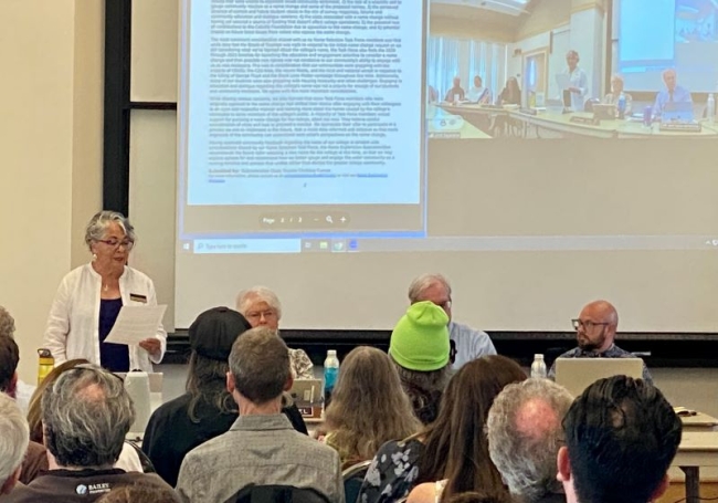 Christina Cuevas, chair of the Name Exploration Subcommittee, stands and speaks while her fellow board members sit next to her in front of a crowd of people.