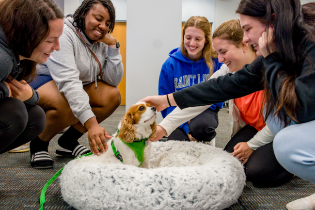 Five nursing students smile at Jessie, a spaniel dog, in her white dog bed