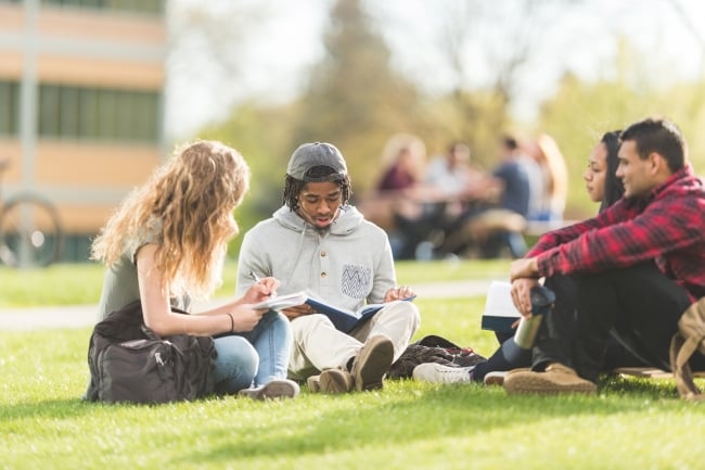 A group of students sits on the grass studying on a college campus.