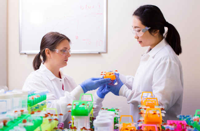 Two researchers wearing white lab coats, blue rubber gloves and safety goggles handle test tubes in a lab.