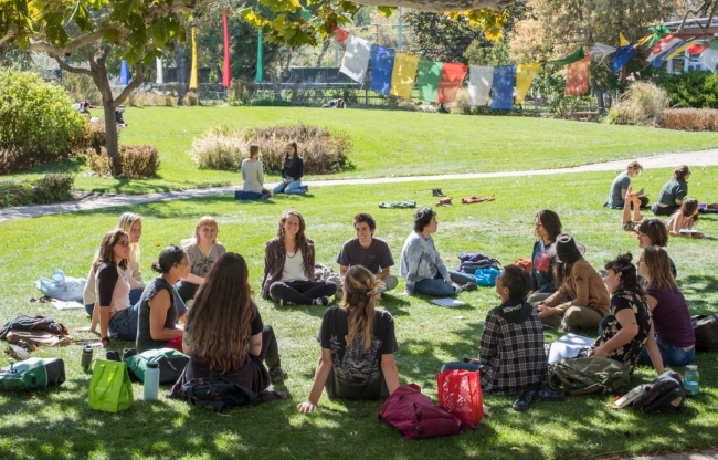 A group of students sits on the lawn at Naropa University on a sunny day