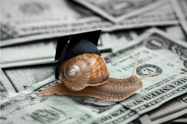 Photo illustration of a slug in a graduation cap on money