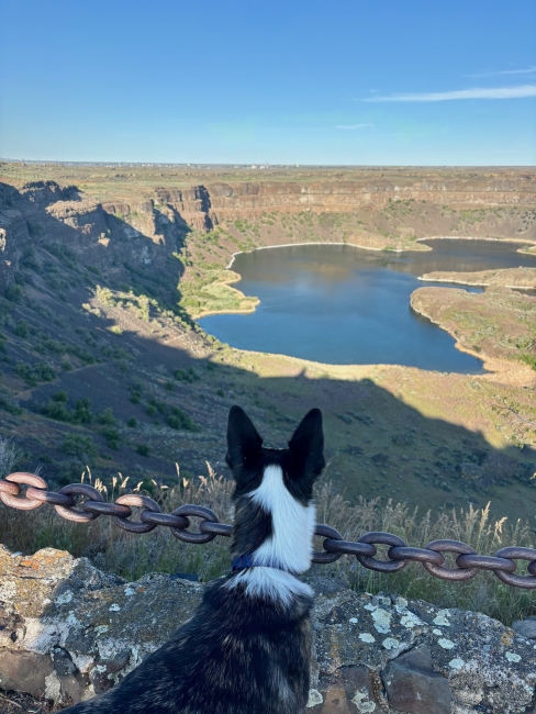 Harry - Dry Falls