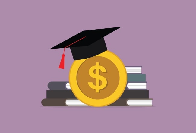 A drawing of a pile of books, fronted with a gold coin with a dollar sign, and topped with a graduation cap.