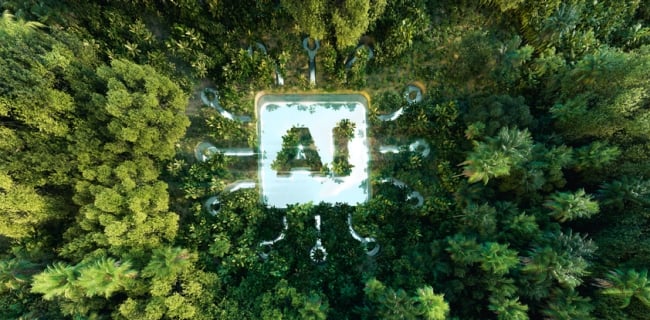 An icon that says "AI" can be seen from above in the middle of an expanse of otherwise intact rainforest.