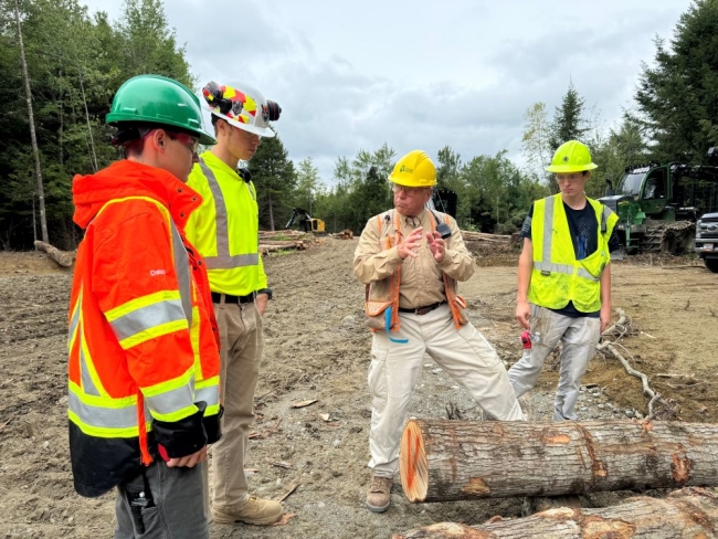 Three students in hard hats and neon vests stand around their instructor, standing behind a row of logs and gesticulating.