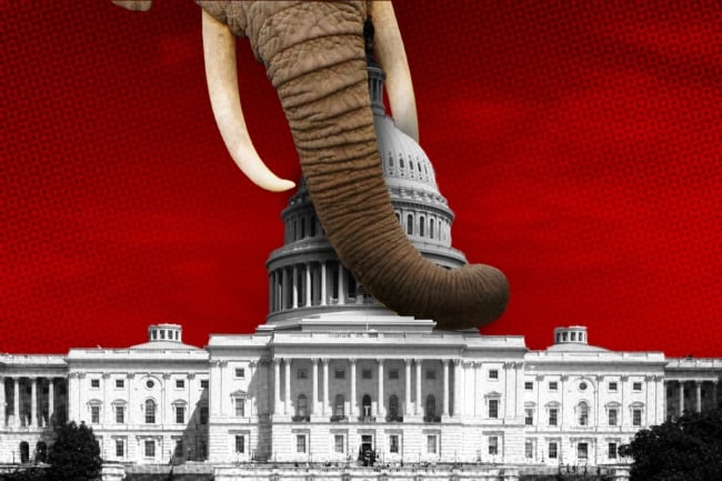 Elephant grabbing Capitol Hill with its trunk