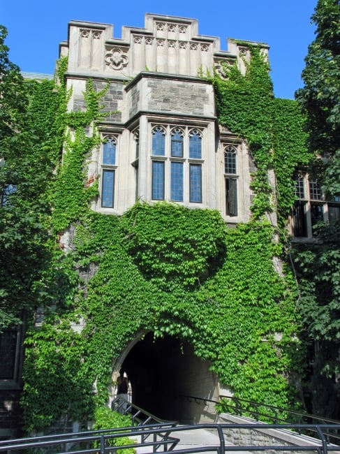 A Gothic-style college building covered in ivy.