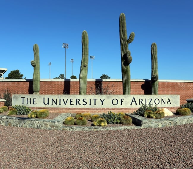 A sign on a brick wall reading "The University of Arizona" with large cacti.