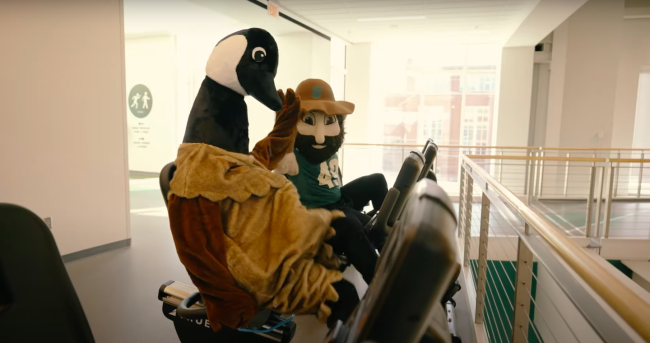 A goose and a gold miner, both mascot costumes, high-five while working on elliptical machines.