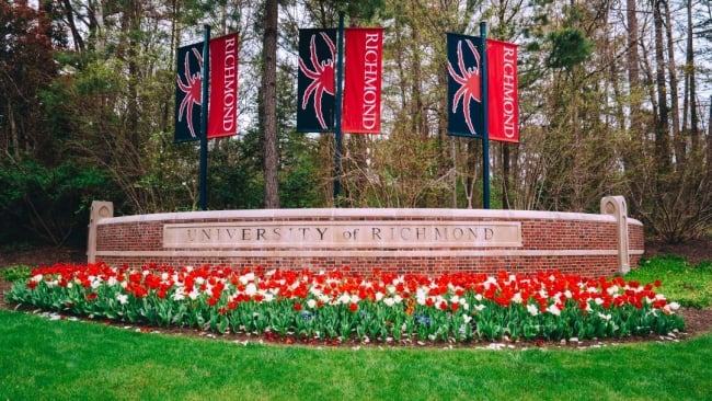 A sign outside the University of Richmond campus has many red and white tulips in front of it, with three banners featuring the campus mascot, a spider, behind it.