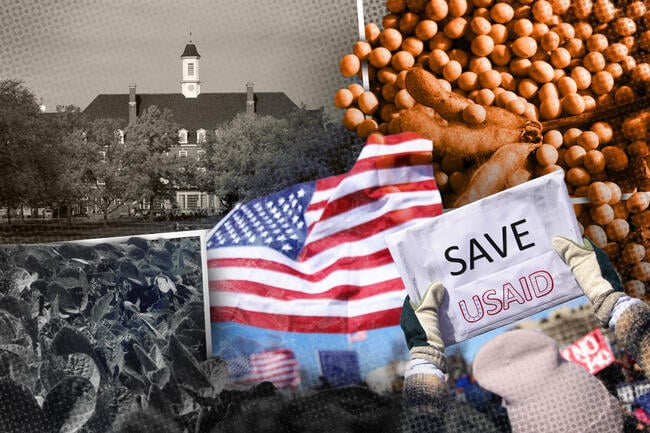 A collage of images, including an image of a building on UIUC's campus, a photo of a field, a photo of pile of soybeans, and a photo of the protests against USAID being defunded, in which an American flag is visible and someone is holding a sign reading "Save USAID."