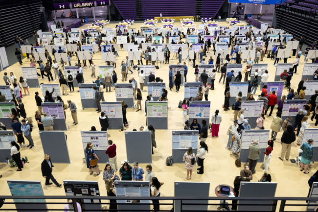 College students present their research posters during the University at Albany, SUNY, Showcase Day in May 2025.