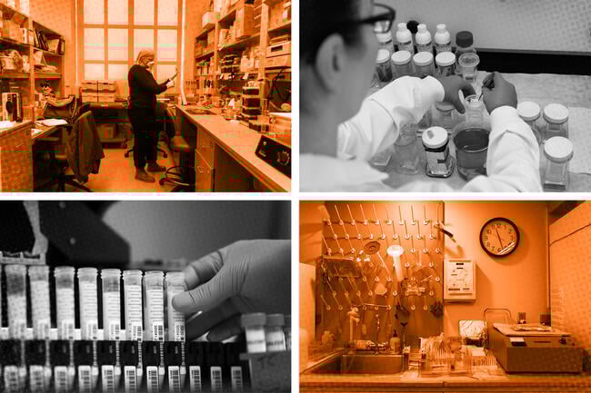 A set of four images showing college laboratory environments.