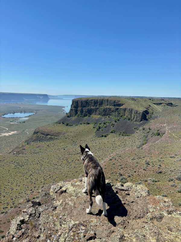harry - Dry Falls