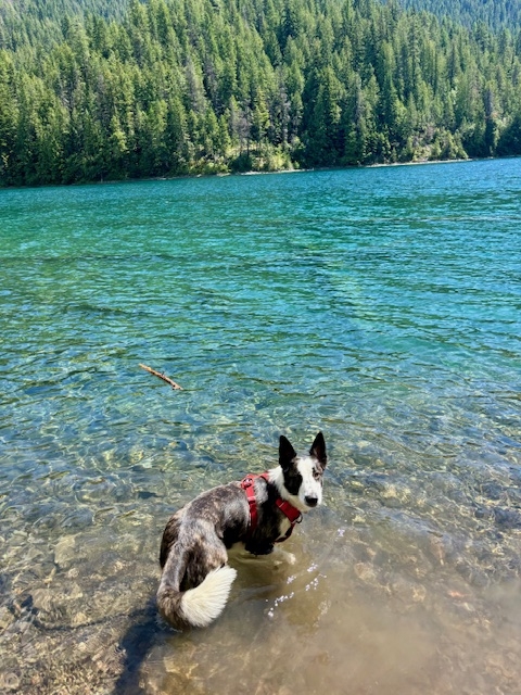 Harry Bead Lake