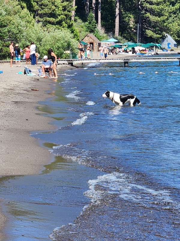 Doug at Tahoe