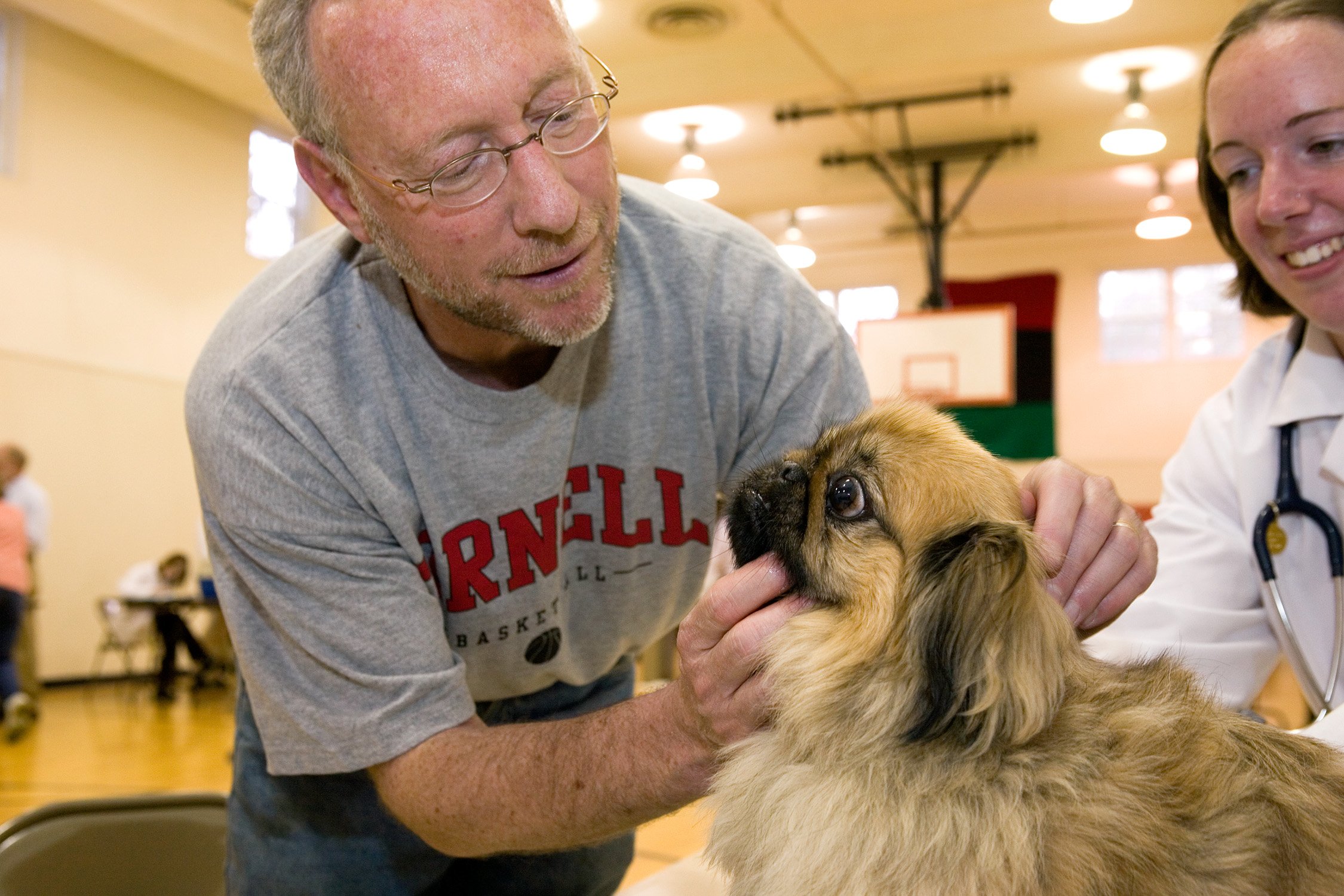 Veterinary schools expand, with focus on large animals