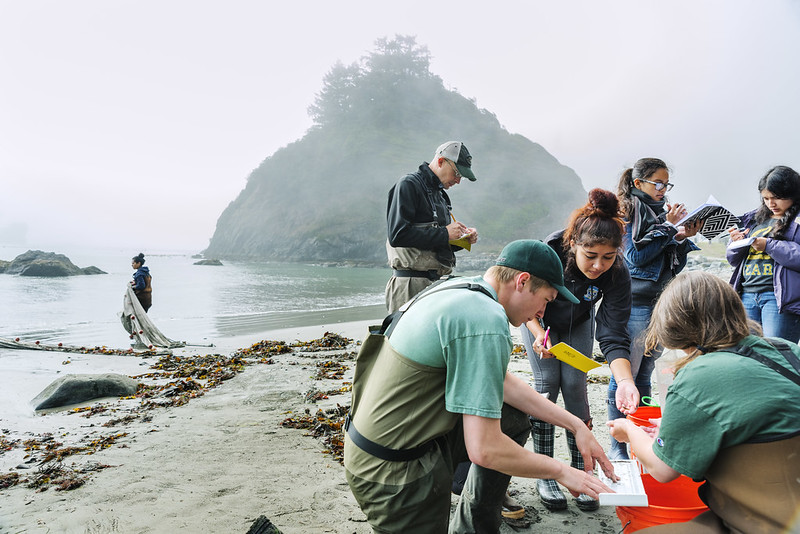 Science students work on a beach. / Courtesy of Cal Poly Humboldt