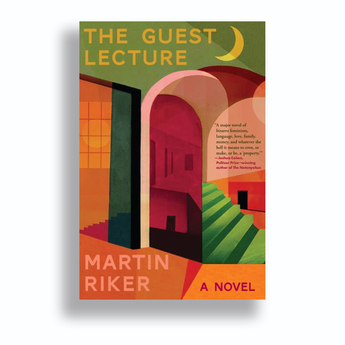 Cover of The Guest Lecture by Martin Riker