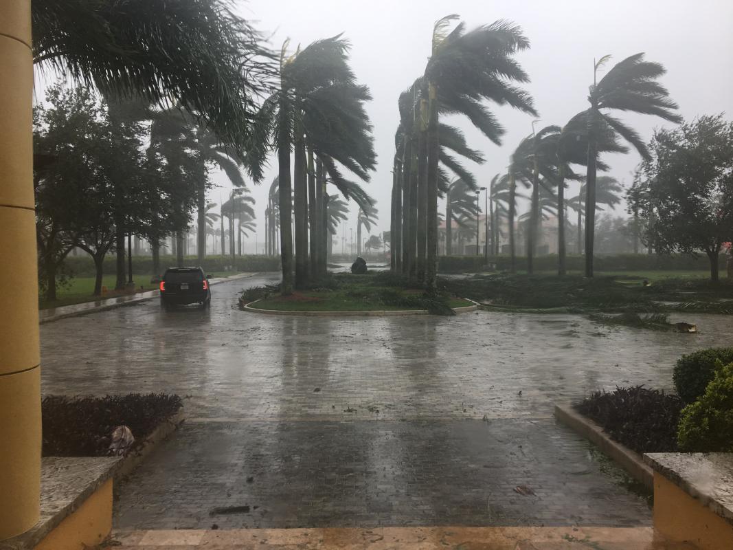 Florida colleges close campuses as Hurricane Ian nears - Inside Higher Ed