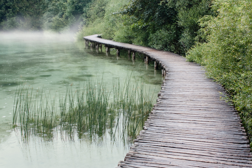 view anleitungen zur sprachverbesserung