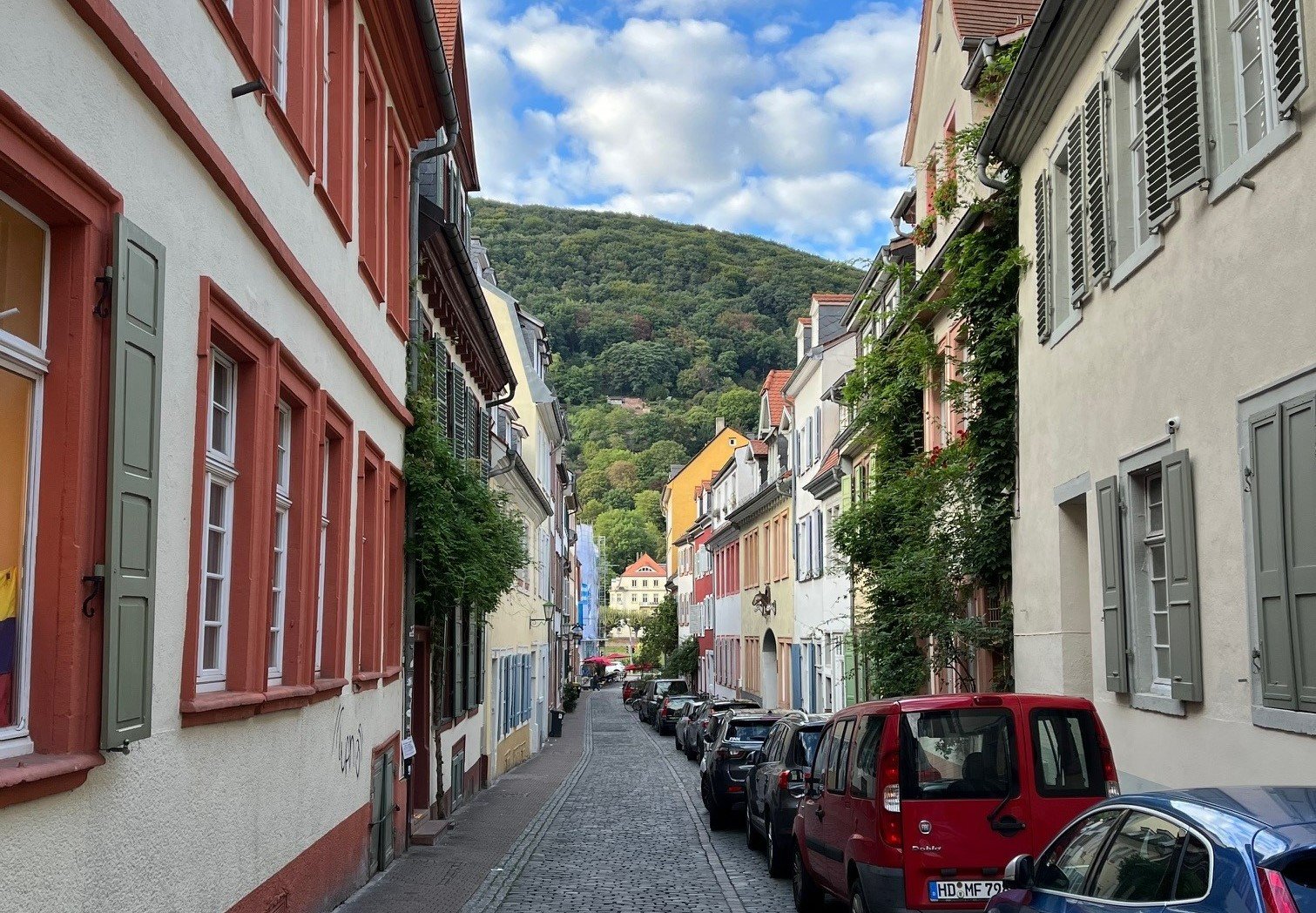 A narrow street in Heidelberg, with cars parked on the right-hand side and a white building with red shutters on the left.