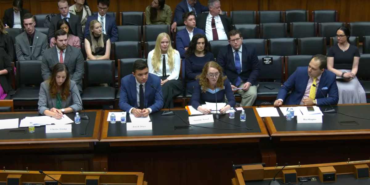Four witnesses sit at a table in a House hearing room.
