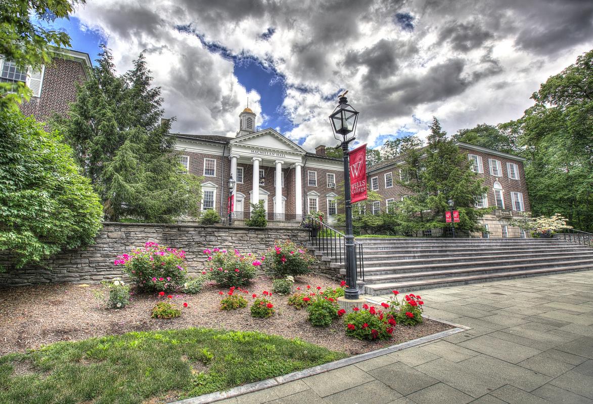 Wells College exemplifies which institutions stand to lose most in the