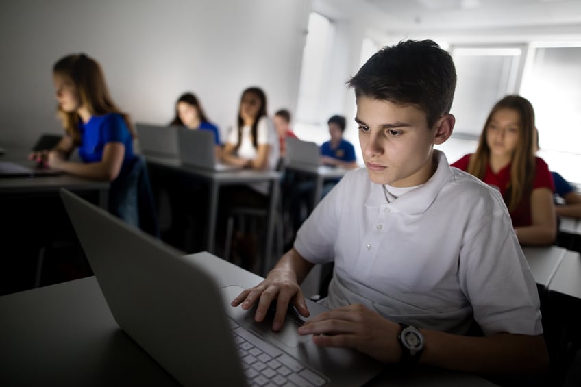 Student essay against gmo