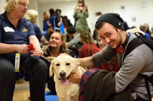 Image of students with a light-colored dog