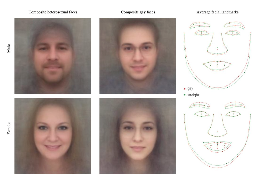 Image of "composite heterosexual faces" and "composite gay faces," both male and female, along with sketch of average facial landmarks.