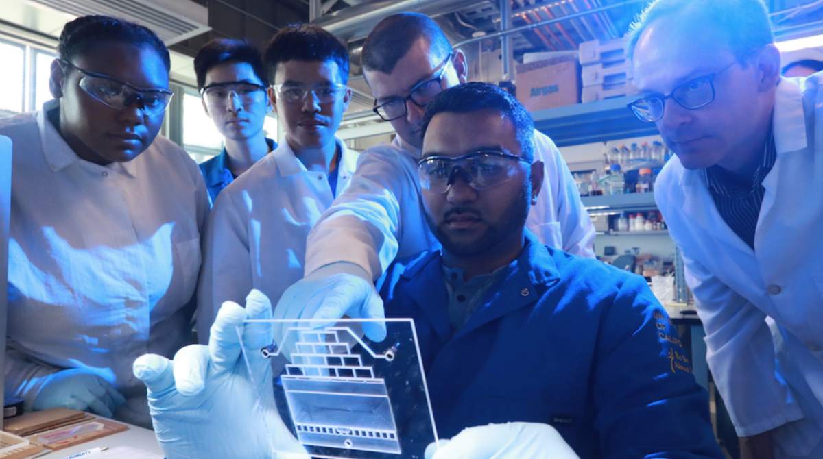 How institutions are approaching scientific research during COVID-19
