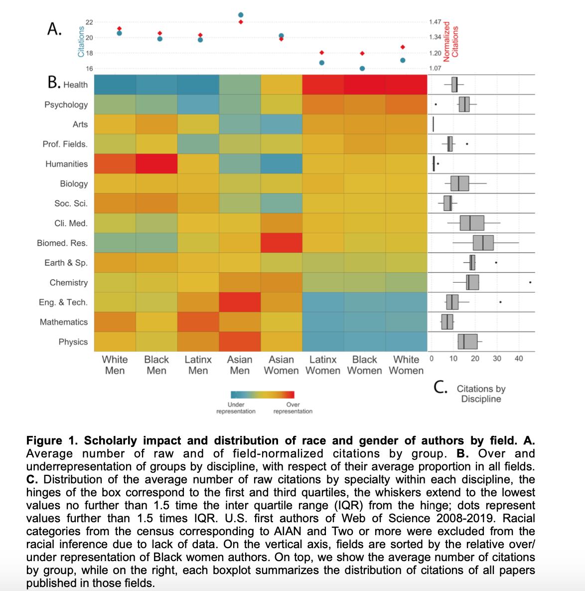 Figure 1. Scholarly impact and distribution of race and gender of authors by field. A. Average number of raw and of field-normalized citations by group. B. Over and underrepresentation of groups by discipline, with respect of their average proportion in all fields. C. Distribution of the average number of raw citations by specialty within each discipline, the hinges of the box correspond to the first and third quartiles, the whiskers extend to the lowest values no further than 1.5 times the inter quartile range (IQR) from the hinge; dots represent values further than 1.5 times IQR. U.S. first authors of Web of Science 2008-2019. Racial categories from the census corresponding to AIAN and two or more were excluded from the racial inference due to lack of data. On the vertical axis, fields are sorted by the relative over-/underrepresentation of Black women authors. On top, we show the average number of citations by group, while on the right, each boxplot summarizes the distribution of citations of all papers published in those fields.