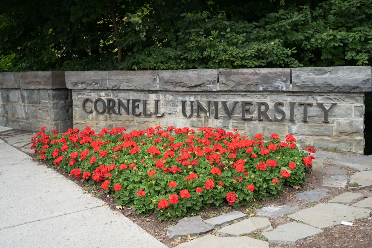 Cornell researchers say in-person semester for university safer than online  one