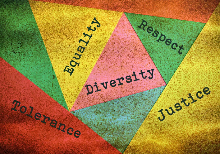 diversity and inclusion essay examples