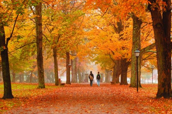 Autumn on a college campus.