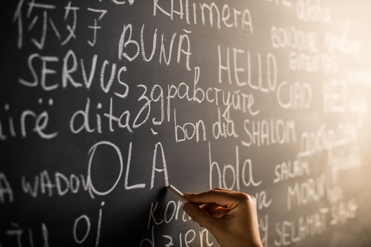 Undergraduate Foreign Language Requirements Aren T Particularly Effective Essay Undergraduate Foreign Language Requirements Aren T Particularly Effective Essay
