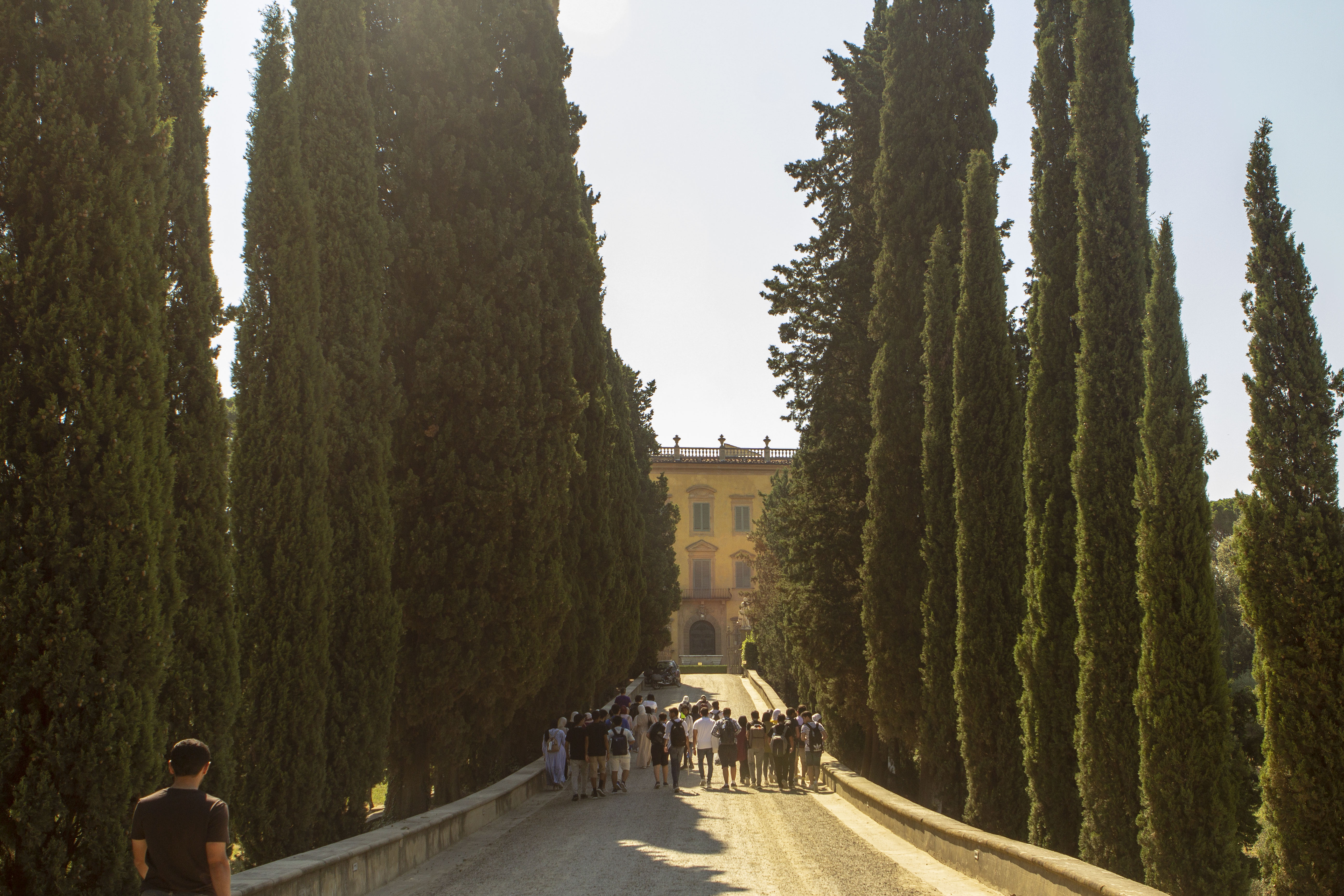 A group of people standing on a road in front of a large building partially obscured by tall trees.