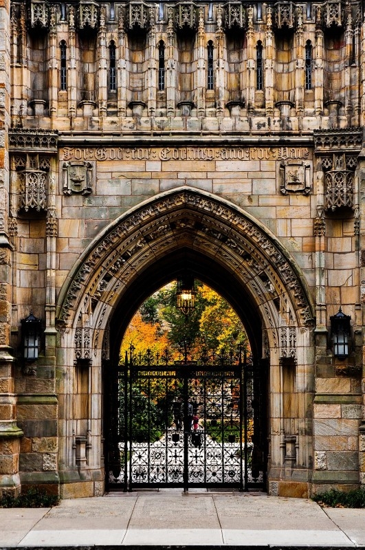 Thirteen Professors Withdraw Their Labor From One Of Yale S Most